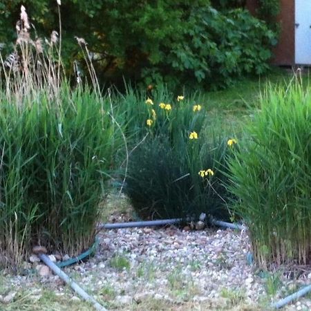 Appartement Neuf & Ecologique A La Campagne Marzens エクステリア 写真