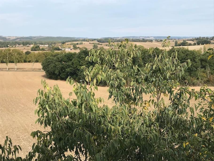 Appartement Neuf & Ecologique A La Campagne Marzens エクステリア 写真