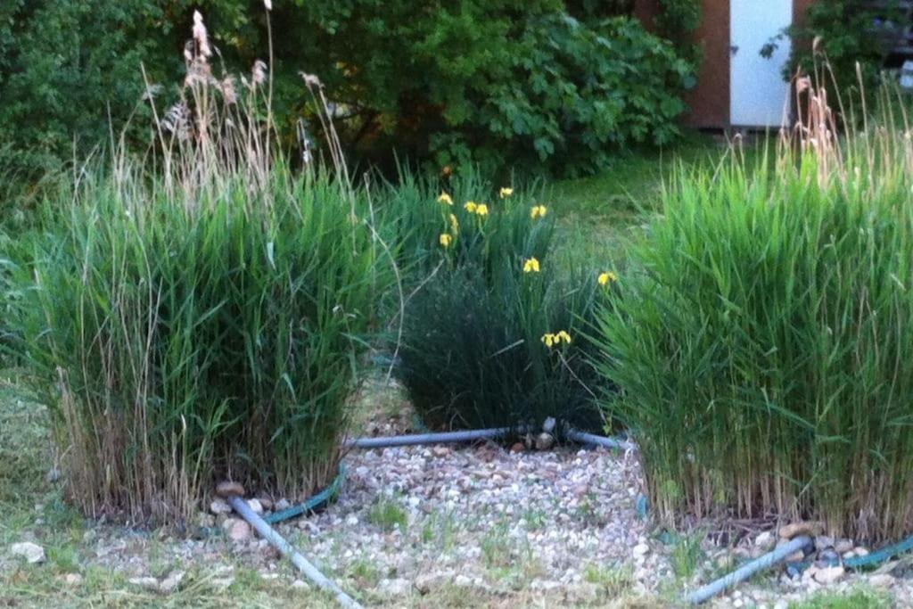 Appartement Neuf & Ecologique A La Campagne Marzens エクステリア 写真